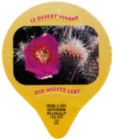 DIE WÜSTE LEBT 22