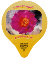 DIE WÜSTE LEBT 23