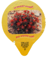 DIE WÜSTE LEBT 25