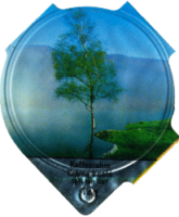 EMMI BÄUME 1237 D 11