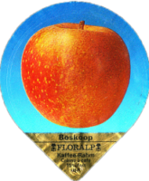 FLORALP AEPFEL (1100) 03