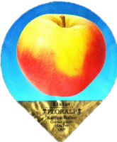 FLORALP AEPFEL (1100) 06