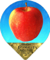 FLORALP AEPFEL (1100) 10