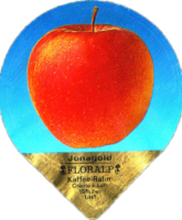 FLORALP AEPFEL (1100) 17