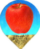 FLORALP AEPFEL (1100) 20
