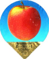 FLORALP AEPFEL (1100) 28