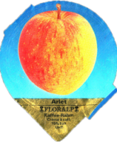 FLORALP AEPFEL (1100) B2 01