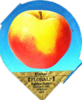 FLORALP AEPFEL (1100) B2 06
