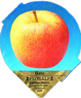FLORALP AEPFEL (1100) B2 08