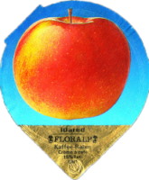FLORALP AEPFEL (1100) B2 15