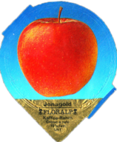FLORALP AEPFEL (1100) B2 17
