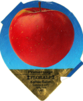 FLORALP AEPFEL (1100) B2 23