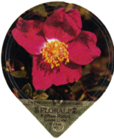 FLORALP ALPENBLUMEN 40 03