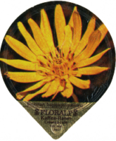 FLORALP ALPENBLUMEN 40 08