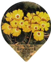 FLORALP ALPENBLUMEN 40 11