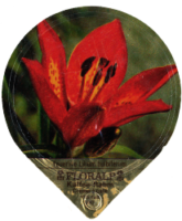 FLORALP ALPENBLUMEN 40 12