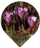 FLORALP ALPENBLUMEN 40 16