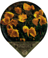 FLORALP ALPENBLUMEN 40 17