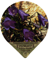 FLORALP ALPENBLUMEN 40 19