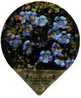 FLORALP ALPENBLUMEN 40 21