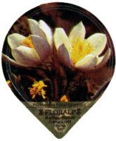 FLORALP ALPENBLUMEN 40 24