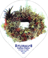 FLORALP DECORKRÄNZE (1132) A 24