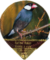 FLORALP EXOTISCHE VÖGEL 35 A 17