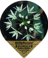 FLORALP HEILPFLANZEN 76 A 03