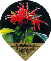 FLORALP HEILPFLANZEN 76 A 04