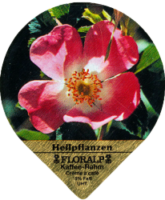 FLORALP HEILPFLANZEN 76 A 06