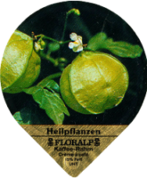 FLORALP HEILPFLANZEN 76 A 07