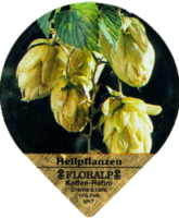 FLORALP HEILPFLANZEN 76 A 08