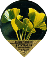 FLORALP HEILPFLANZEN 76 A 10