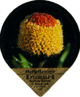 FLORALP HEILPFLANZEN 76 A 15
