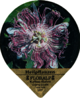 FLORALP HEILPFLANZEN 76 A 16