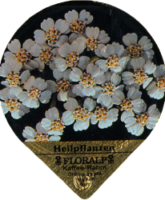 FLORALP HEILPFLANZEN 76 A 19