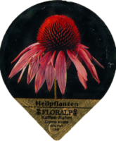 FLORALP HEILPFLANZEN 76 A 20