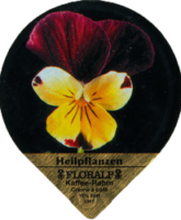 FLORALP HEILPFLANZEN 76 A 21