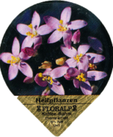 FLORALP HEILPFLANZEN 76 A 22