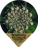 FLORALP HEILPFLANZEN 76 A 25