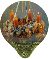FLORALP WEIHNACHTEN NEUJAHR 1226 A 02