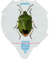 INSEKTEN 01