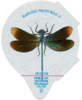 INSEKTEN 02