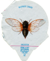 INSEKTEN 03