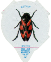 INSEKTEN 04