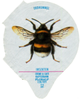 INSEKTEN 05
