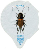 INSEKTEN 06