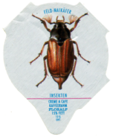 INSEKTEN 07
