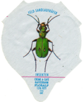 INSEKTEN 08