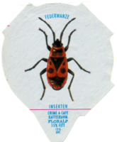 INSEKTEN 09